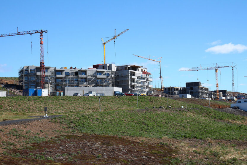 Reisugilli 1 IMG 5576